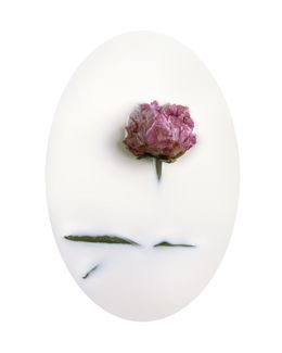 Photographie, Latte e polline 14, Nicola Vinci