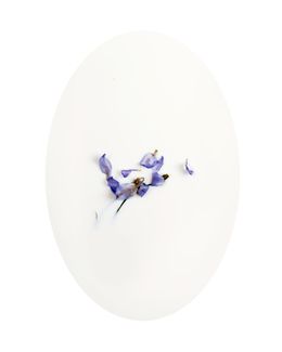 Photographie, Latte e polline 16, Nicola Vinci