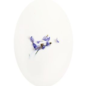 Photographie, Latte e polline 16, Nicola Vinci