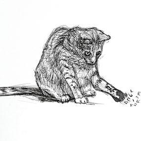 Zeichnungen, Gatto Michael, Lucio Forte