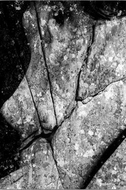 Photographie, Nu fossile, Michel Coste