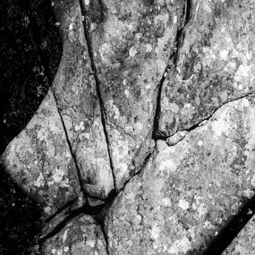 Photography, Nu fossile, Michel Coste