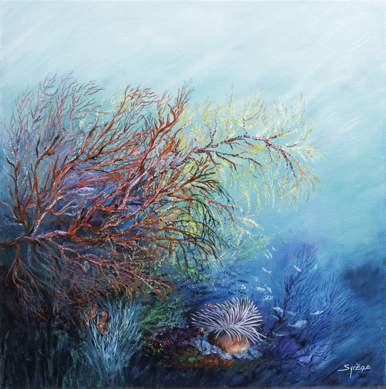 Irène Pouvreau dite Syrène, Coraux multicolore - série faune et flore sous marine Irène Pouvreau dite Syrène, Coraux multicolore - série faune et flore sous marine