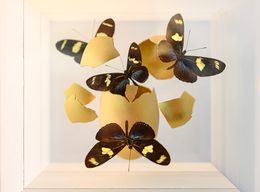 Sculpture, Impact, Jean-Luc Maniouloux