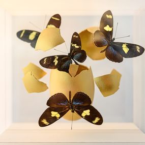 Sculpture, Impact, Jean-Luc Maniouloux