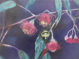 Pittura, Eucalyptus, Jarmila Marcisova