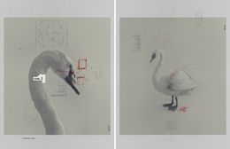 Photography, 0971 and 1785, Diptych. From The ONE Series, Salvatore Arnone