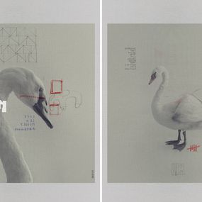 Photographie, 0971 and 1785, Diptych. From The ONE Series, Salvatore Arnone