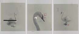 Photography, 1909, 0971 and 1785, Triptych. From The ONE Series, Salvatore Arnone