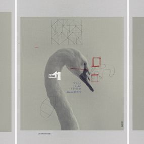 Photography, 1909, 0971 and 1785, Triptych. From The ONE Series, Salvatore Arnone