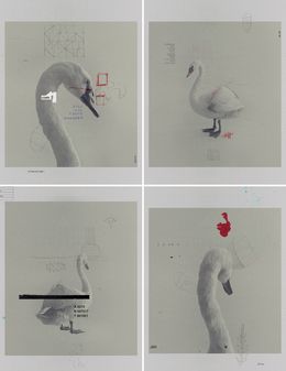 Photography, 0971, 1785, 1909 and 0946. From The ONE Series, Salvatore Arnone