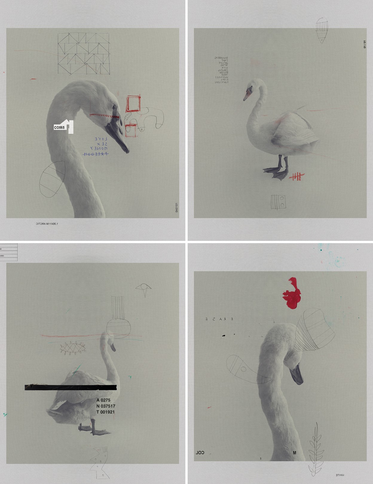 Salvatore Arnone, 0971, 1785, 1909 and 0946. From The ONE Series Salvatore Arnone, 0971, 1785, 1909 and 0946. From The ONE Series