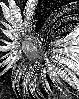Dessin, To Be Prickly, Iryna Burda