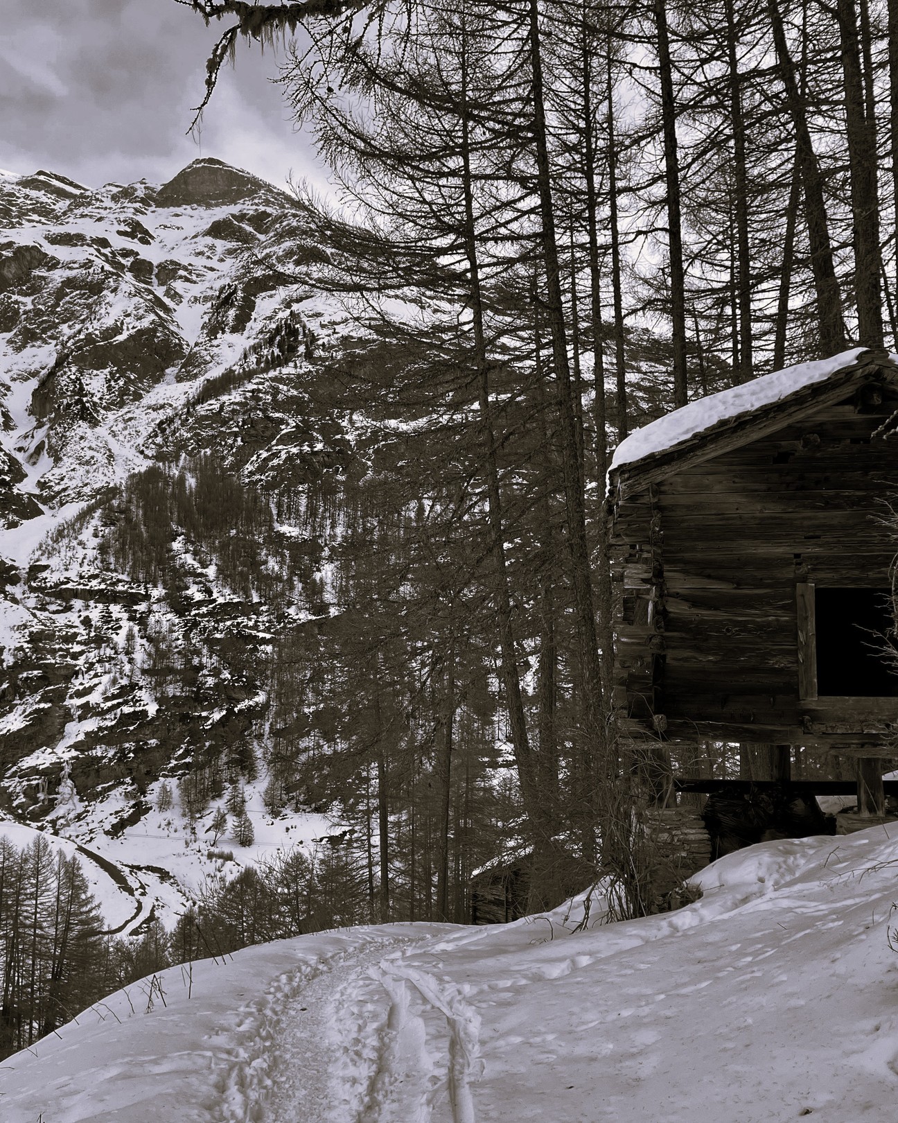 Mariela Soldano, Untitled. From the series The mountains don't speak to me. Mariela Soldano, Untitled. From the series The mountains don't speak to me.