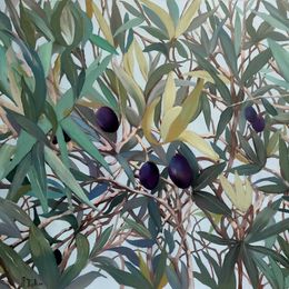 Zeichnungen, Au coeur de l'olivier, Agnès Tiollier