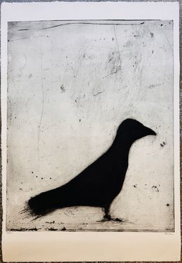 Drucke, Oiseau, Pascale Parrein