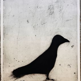 Édition, Oiseau, Pascale Parrein