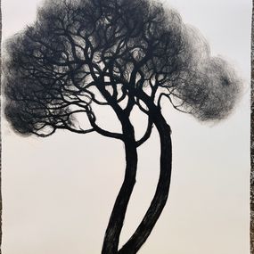 Édition, Les pins I, Pascale Parrein