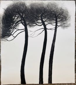 Drucke, Les pins II, Pascale Parrein