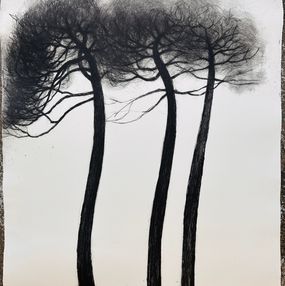 Édition, Les pins II, Pascale Parrein