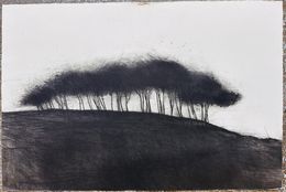 Drucke, Paysage III, Pascale Parrein