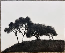 Drucke, Paysage XII, Pascale Parrein
