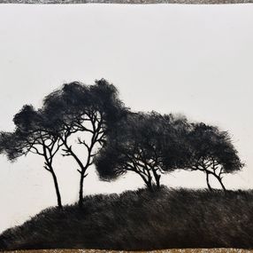 Édition, Paysage XII, Pascale Parrein