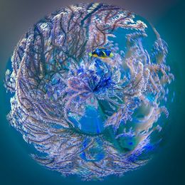 Fotografien, Gardien du monde bleu, Paul Marnef