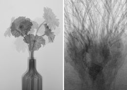 Photographie, Set of 2 Photographys. From The Lullaby Series, Salvatore Arnone