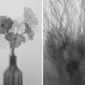 Photographie, Set of 2 Photographys. From The Lullaby Series, Salvatore Arnone