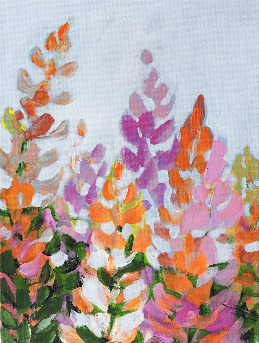 Alexandra Suliko Matyas, Lupines II - Série Florale Alexandra Suliko Matyas, Lupines II - Série Florale