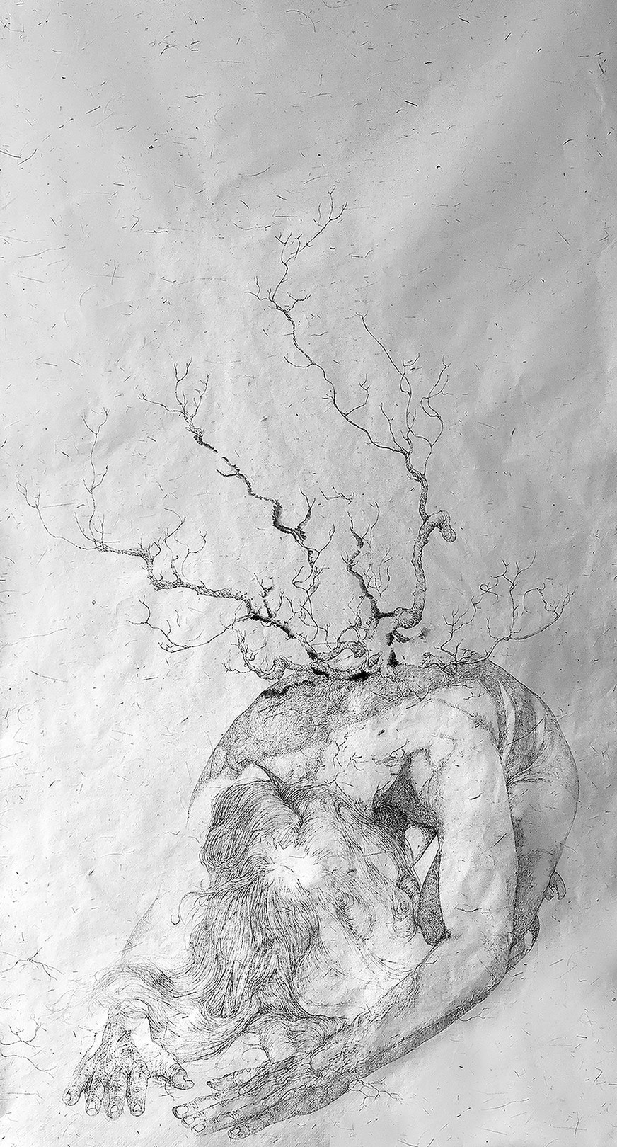 Florian Song Nguyen, Le chêne à trois troncs n°40 Florian Song Nguyen, Le chêne à trois troncs n°40