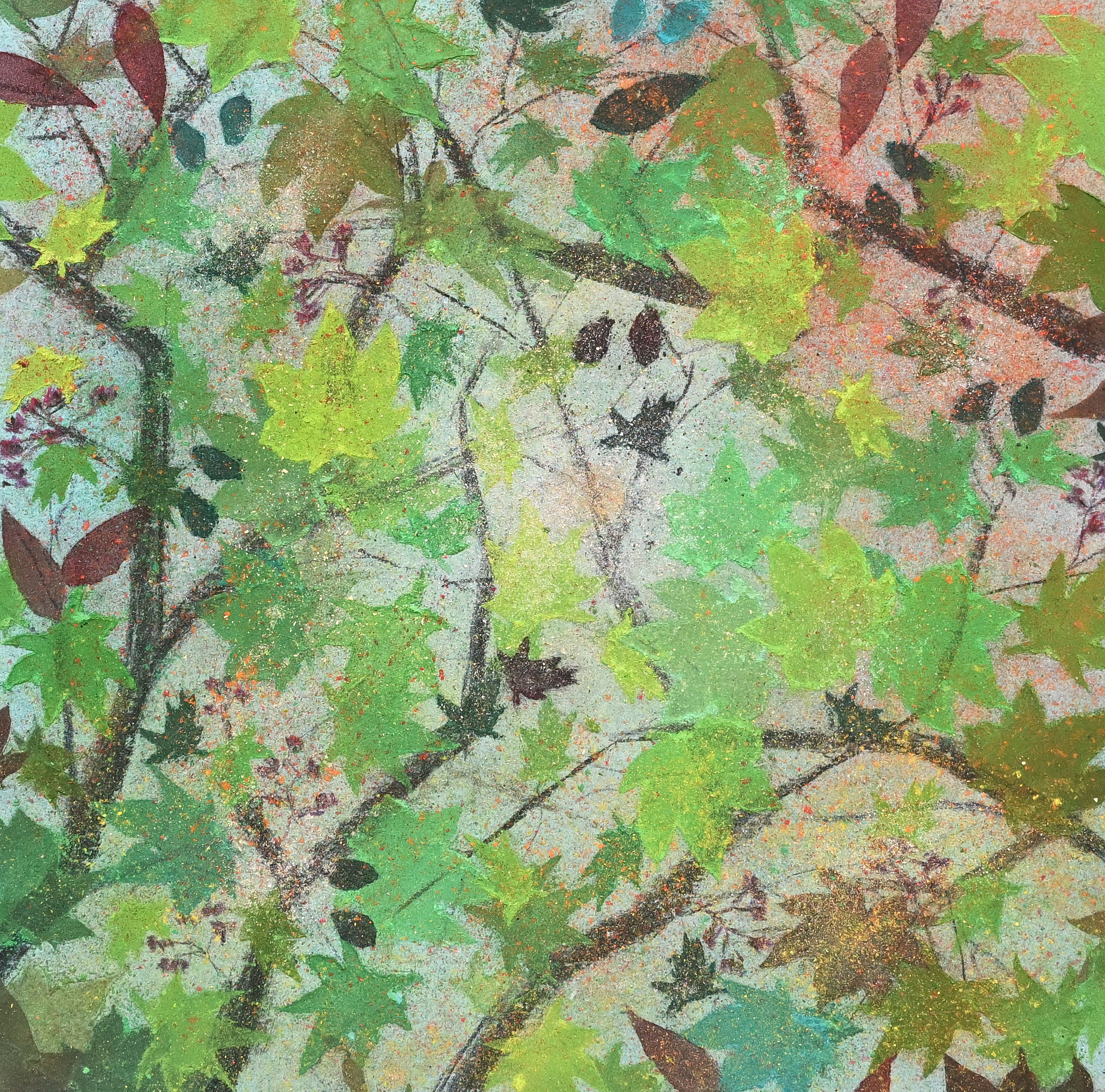 Kenny R.K., Looking up in forest: Spring Kenny R.K., Looking up in forest: Spring