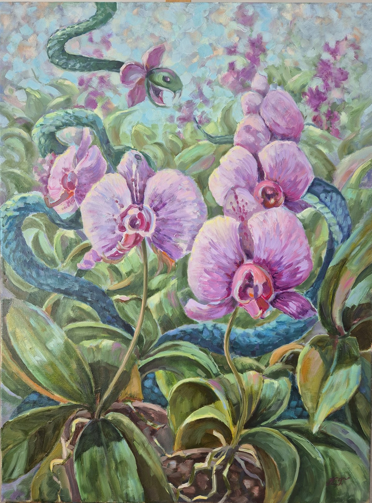 Tatiana Kyriakidou, Provocative orchids Tatiana Kyriakidou, Provocative orchids