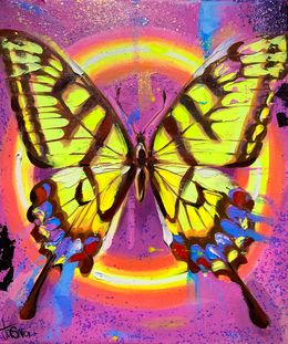 Painting, Butterfly Synergy III, Yasna Godovanik