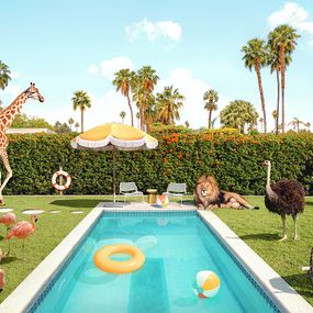 Photographie, Animal Kingdom - LARGE, Paul Fuentes
