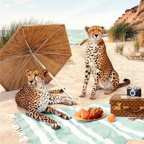 Photography, Beach Cheetahs - LARGE, Paul Fuentes
