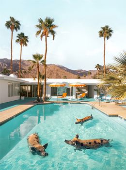 Photographie, Pig Pool Party - LARGE, Paul Fuentes