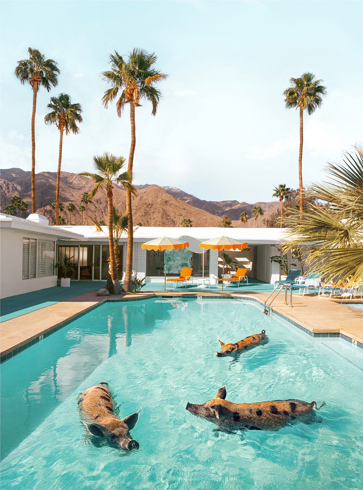 Paul Fuentes, Pig Pool Party - LARGE Paul Fuentes, Pig Pool Party - LARGE