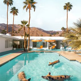 Photographie, Pig Pool Party - LARGE, Paul Fuentes