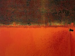 Fotografien, Matière marine, Nathalie Debroise