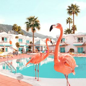 Photographie, Florida - LARGE, Paul Fuentes