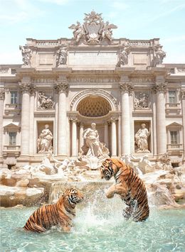 Photographie, Fontana di Trevi - SMALL, Paul Fuentes