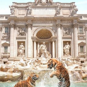 Photographie, Fontana di Trevi - SMALL, Paul Fuentes