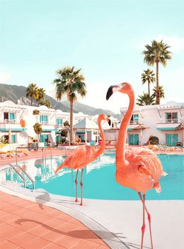 Photographie, Florida - SMALL, Paul Fuentes
