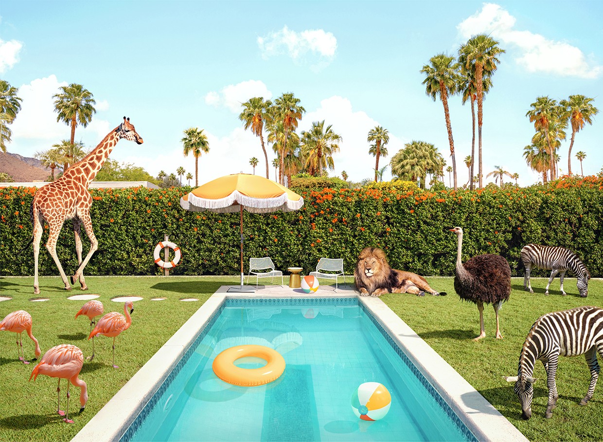 Paul Fuentes, Animal Kingdom - SMALL Paul Fuentes, Animal Kingdom - SMALL
