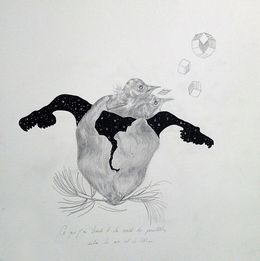 Fine Art Drawings, Ce que j'ai trouvé à la croisée des parallèles, entre le ciel et la terre, Frédérique Lanquetin