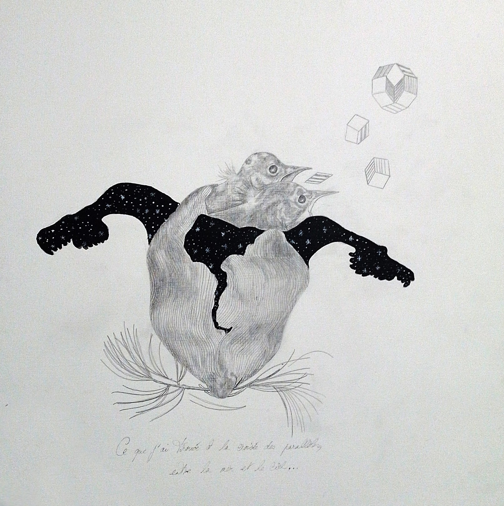 Frédérique Lanquetin, Ce que j'ai trouvé à la croisée des parallèles, entre le ciel et la terre Frédérique Lanquetin, Ce que j'ai trouvé à la croisée des parallèles, entre le ciel et la terre
