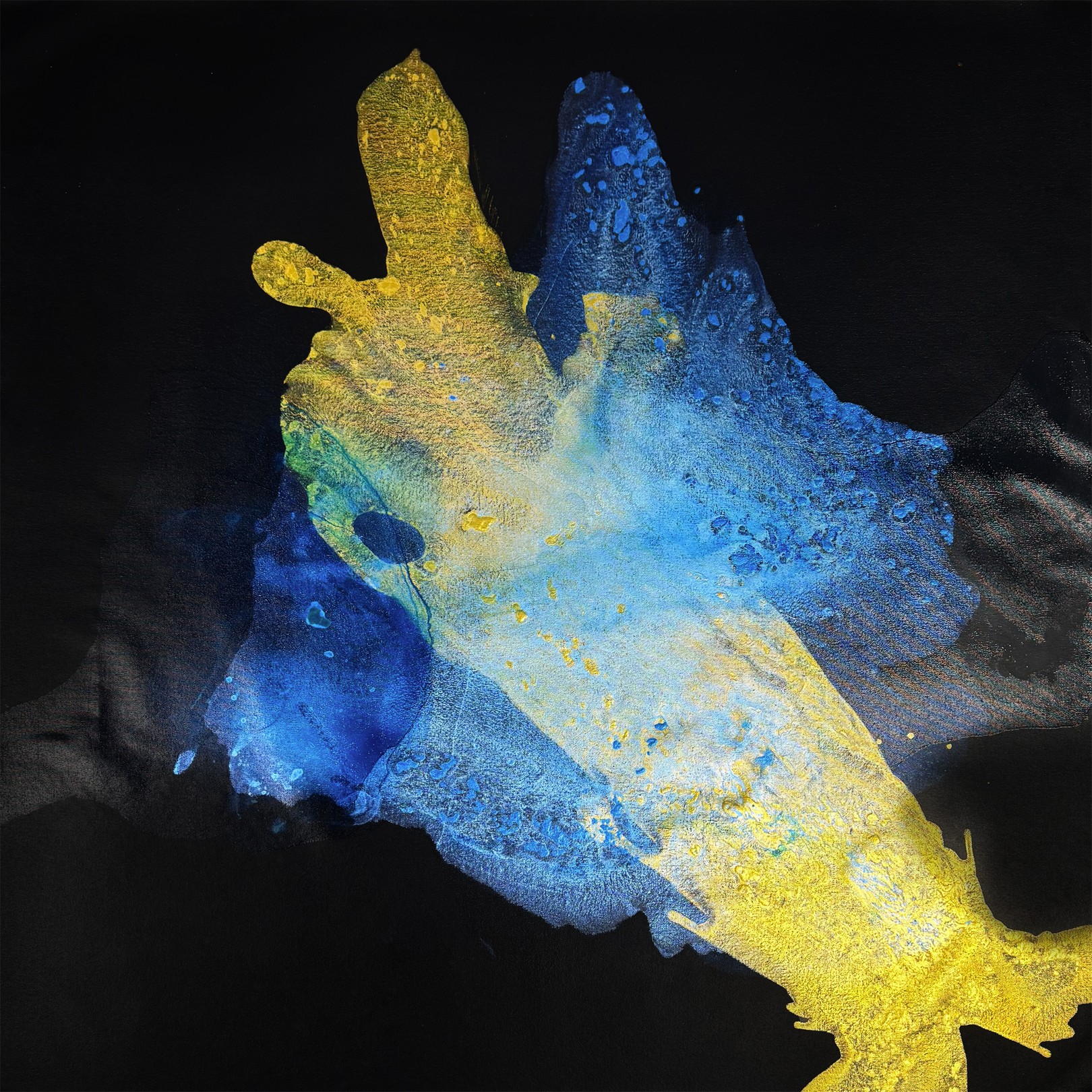 Clara Berta, Blue Transition Clara Berta, Blue Transition