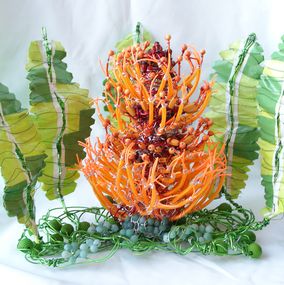 Skulpturen, Endangered Good’s Banksia Flower, Dr. Michelle Cox
